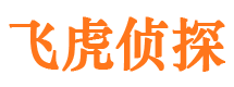 静安出轨调查